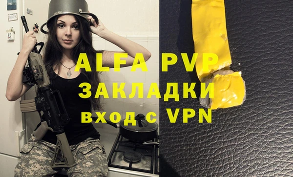 сатива Абаза