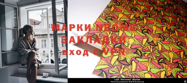 стаф Нея