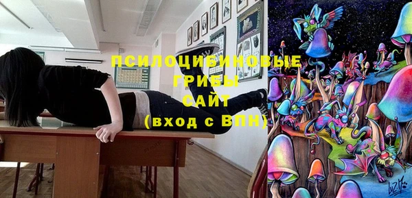 индика Абдулино