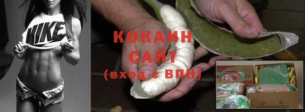 сатива Абаза