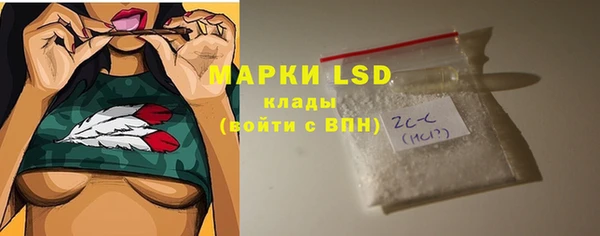 гидра Горнозаводск