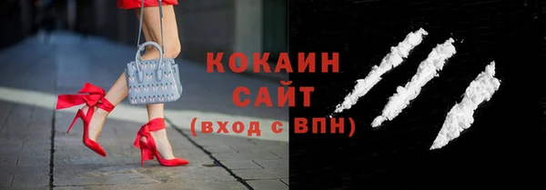 стаф Нея