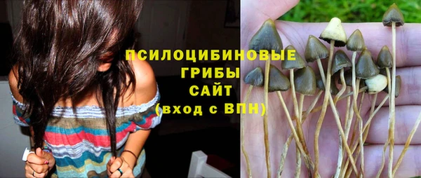 стаф Нея