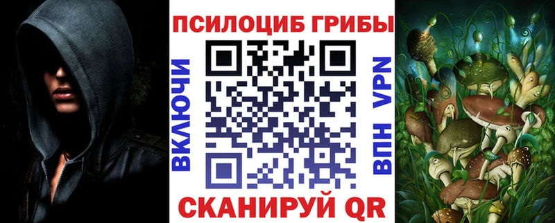 Псилоцибиновые грибы GOLDEN TEACHER  Фокино 